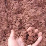 آجر لفتون بسته بندی, کارخانه آجر ده سوراخ بسته بندی , آجر بهمنی بسته بندی , آجر 10 سوراخ اصفهان , آجر 5.5 قالب بزرگ بسته بندی , آجر نما بسته بندی , اجر نما , اجر لفتون , آجر ممتاز , اجرنماممتاز , آجر ده سوراخ قرمز علا